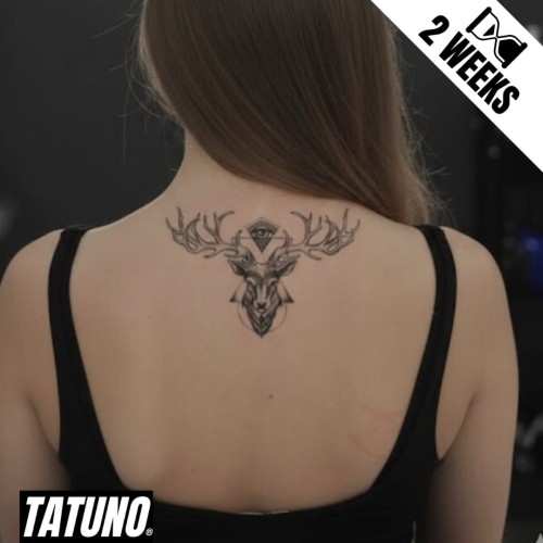 Tatuaż jagua półtrwały jelenie oko
