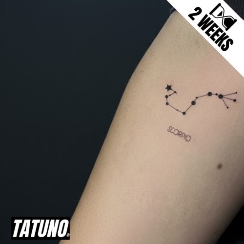 Tatuaż jagua półtrwały znak zodiaku skorpion